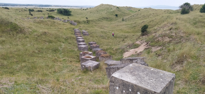 Gullane Bents